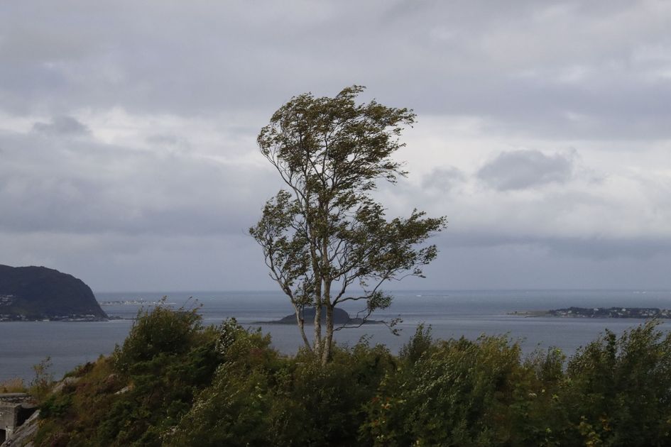 Fuertes ráfagas de viento afectan a Milagro, Durán y Yaguachi este miércoles