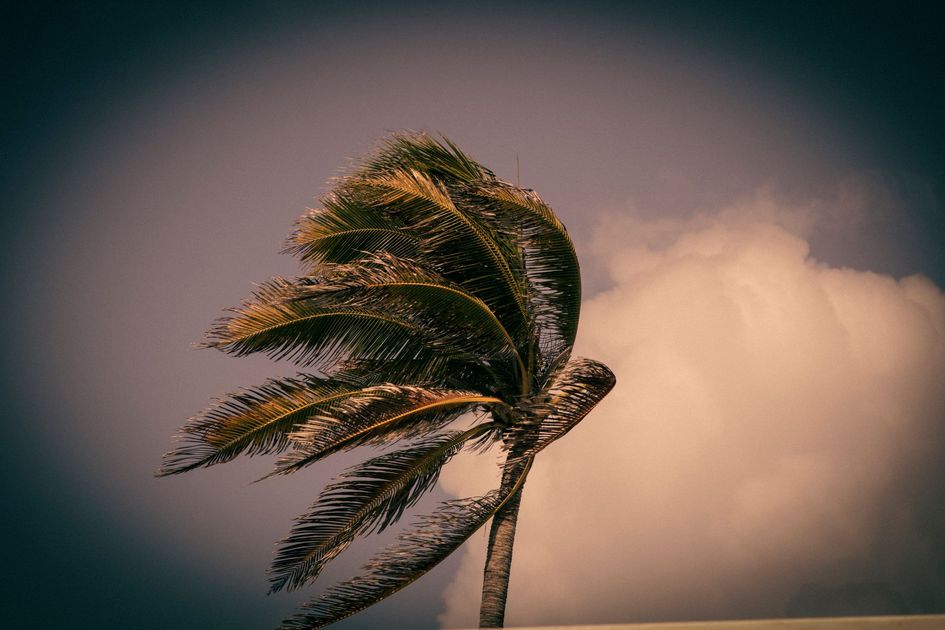 Vientos huracanados y corte eléctrico afectan a Milagro ante alerta de tormenta