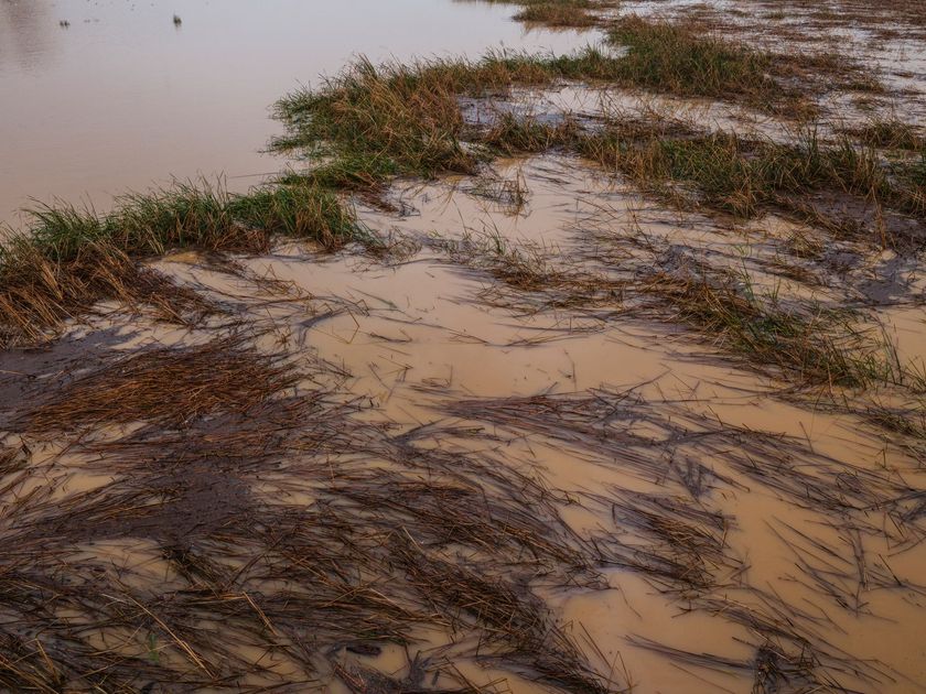 Colapso hídrico deja 14 cantones del Guayas bajo el agua y 44 emergencias activas