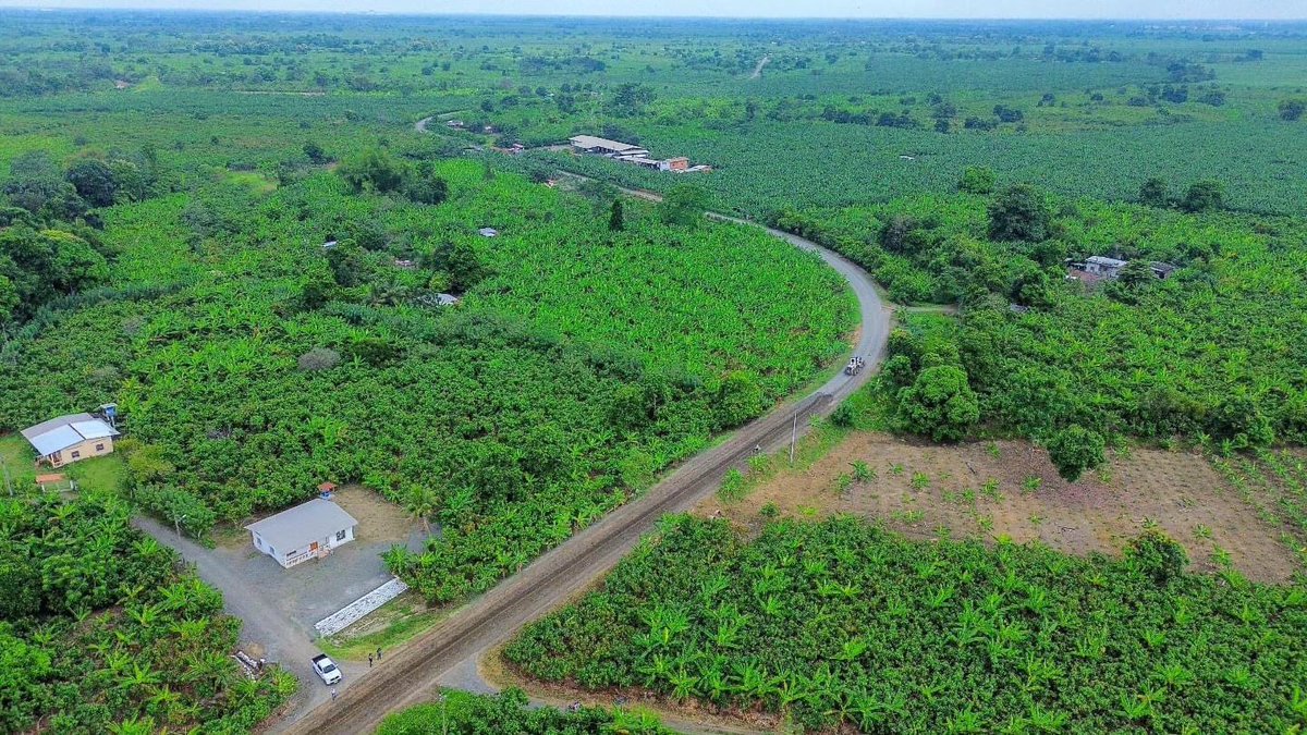 Municipio de Milagro concluye obra en vía Barcelona-Venecia para mejorar transporte agrícola