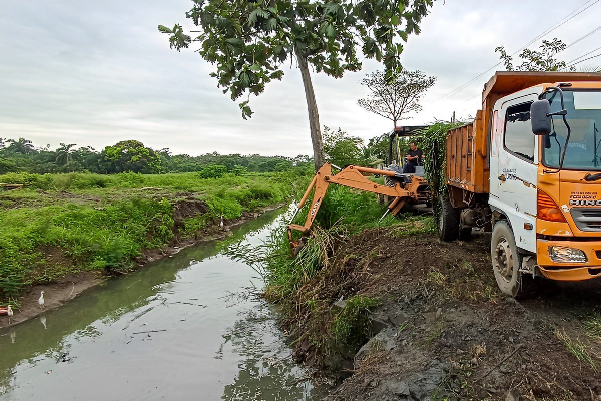 Municipio de Milagro limpia canales en Calicuchima para evitar inundaciones