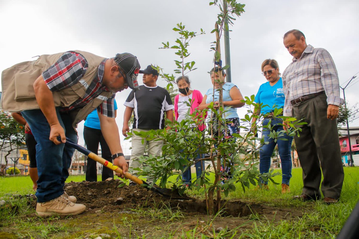 Municipio de Milagro plantó olivos en parque El Porvenir con apoyo de viveros FREIGA